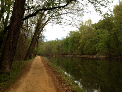 Scenery along C&O Towpath