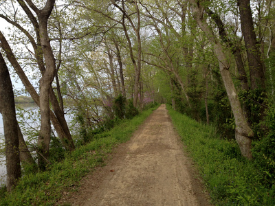 ODH Scenery along C&O Towpath