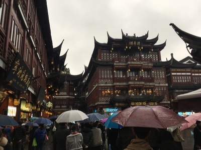 Umbrellas in YuYuan garden